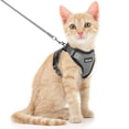thumbnail image 1 of Set de arnés y correa para gatos Dooradar Escape Proof para Cat XS, 1 of 9