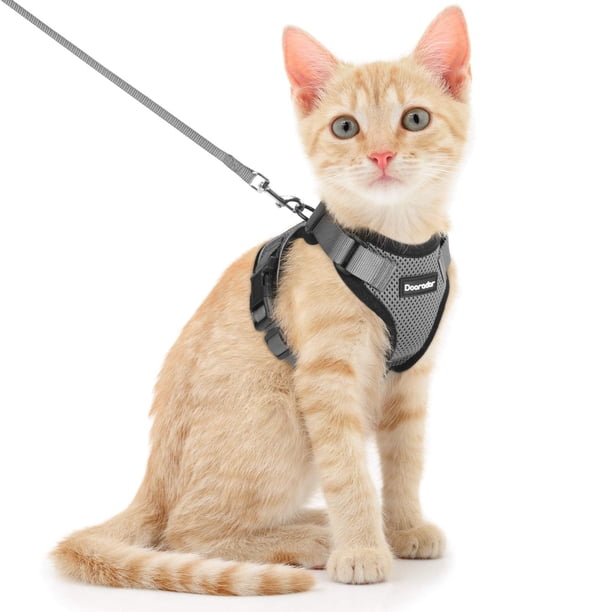 Set de arnés y correa para gatos Dooradar Escape Proof para Cat XS