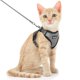 thumbnail image 1 of Set de arnés y correa para gatos Dooradar Escape Proof para Cat XS, 1 of 9