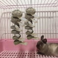 thumbnail image 5 of 2 Pcs Rabbit Chew Toys, Pet Snacks, 5 of 5