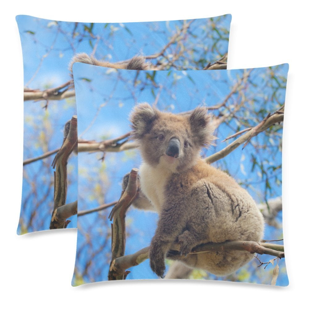 YKCG Animal Pillowcase Protector 18x18 Twin Sides, Koala in the Tree