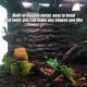 thumbnail image 5 of Decoración De Jaula, Rama De Bosque, Rama Curva, Reptiles Artificiales, Terrario, Jaula, Decoración, Trepador De Vid Para Decoración De Reptiles Para Plantas Trepadoras ANGGREK Terrarium Decor, 5 of 8