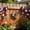 D, variant on Patriotic American Eagle Wall Decor, Acrylic USA Flag Hanging Art for 4th of July & Home