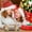 B, variant on Christmas ATM And Bank Ziplock Bag Set Pull Out Clip With Bow Holiday Pull Out Kit for Christmas Holiday Birthday 4 Styles