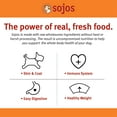 thumbnail image 2 of Sojos Complete Beef Recipe Adult Grain-Free Freeze-Dried Raw Dog Food, 7 Pound Bag, 2 of 10