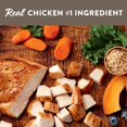 thumbnail image 3 of Simply Nourish® Original Small Breed Puppy Dry Dog Food - Chicken & Brown Rice, 3 of 5