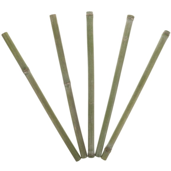 VERDANVERSE bamboo gardens stakes Bamboo Stakes Bamboo Assorted Color 5Pcs