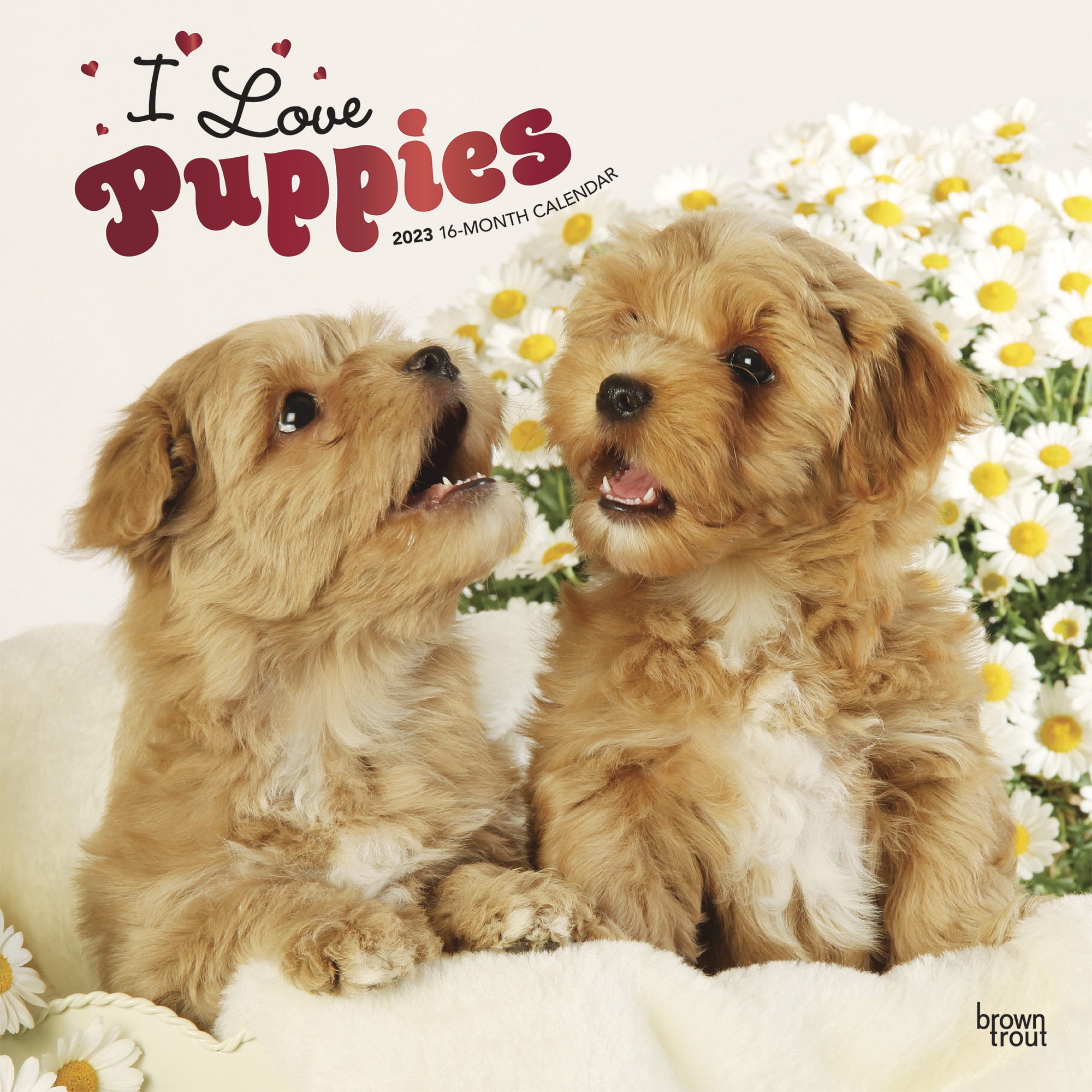 I Love Puppies | 2023 12x24' (Hanging) Square Wall Calendar | BrownTrout