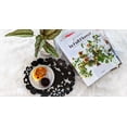 thumbnail image 4 of Mango Steam Decorative Centerpiece, Fruit Plate/Bowl, Candy Dish (Aloha, Black), 4 of 6