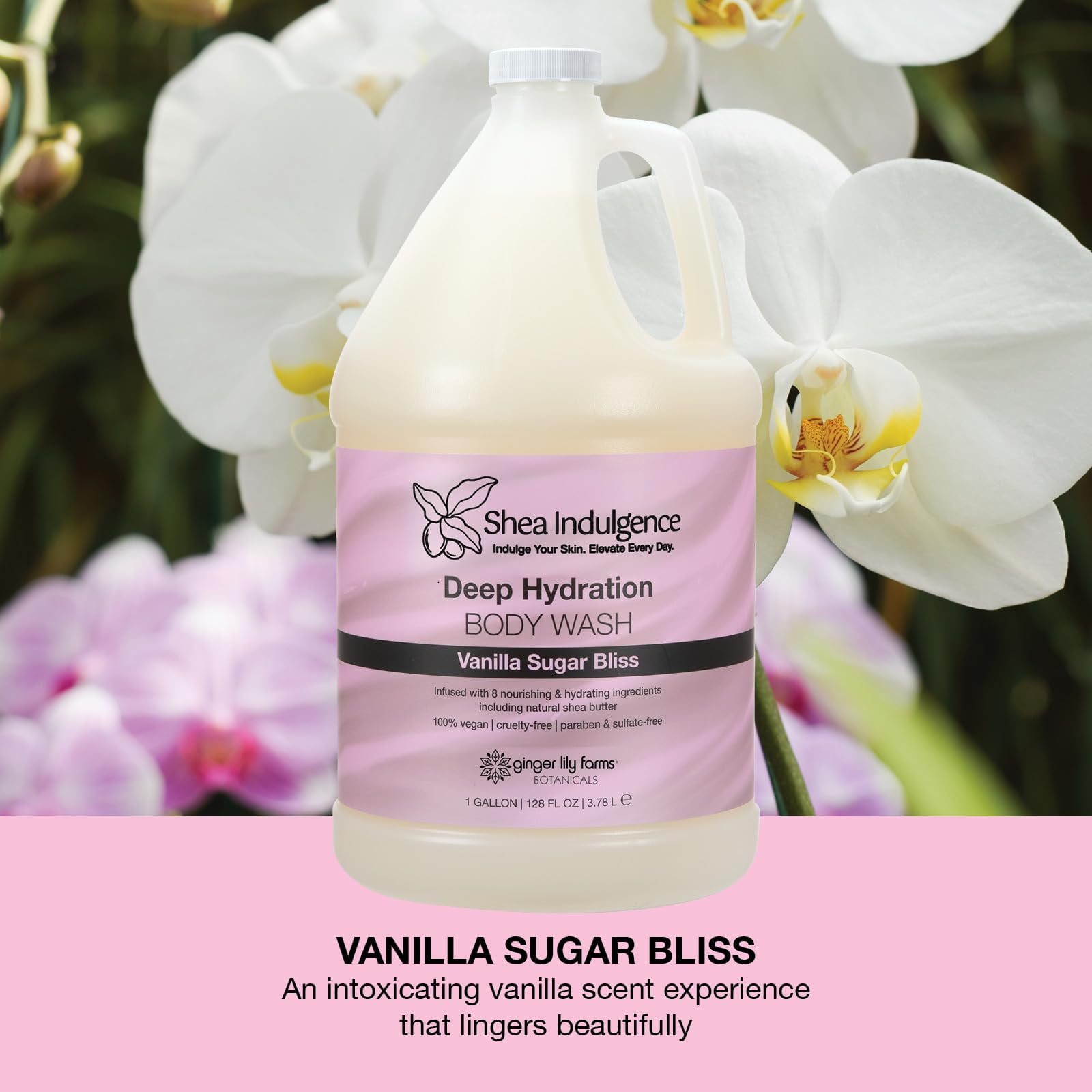 Ginger Lily Farms Botanicals Shea Indulgence Deep Hydration Body Wash, 100% Vegan & Cruelty-Free, Vanilla Sugar Bliss Scent, 1 Gallon (128 fl oz) Refill