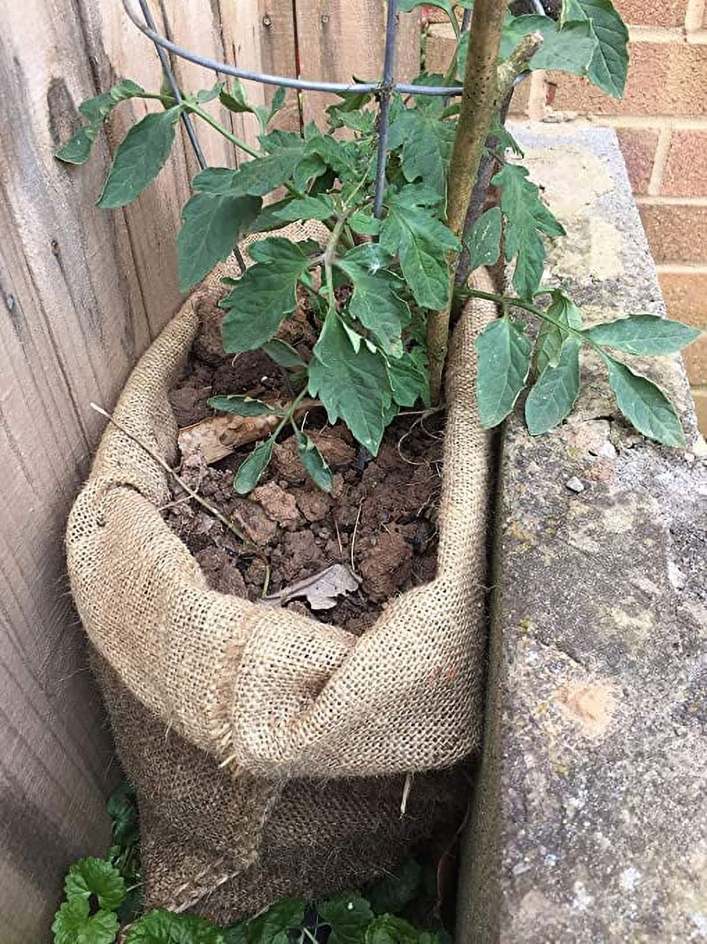 Sack Race Bags ZOENHOU Pack 36 X 24 Inch Large Burlap Bags