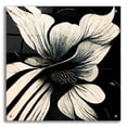thumbnail image 1 of Epic Art 'Flowers Black White 28' by Ray Heere, Acrylic Glass Wall Art, 24"x24", 1 of 8