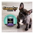 thumbnail image 4 of Alimento para Perro Ganador Premium Cachorro Hígado Pollo 100 g, 4 of 4