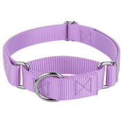 Country Brook Petz Martingale Dog Collar - Training Collar with No Buckle (Lavender, Medium)