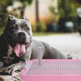 thumbnail image 4 of LOLIPPYY Grass Patch For Dogs Potty Dog Toilet Potty Tray Pink ABS 1Set, 4 of 8