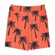 thumbnail image 4 of Odeerbi 5-14 Años Niños Niñas Pantalones Cortos de Estampado Tropical Hawaiano Pantalones de Baño En Seco Rápido Pantalones Cortos de Tabla de Playa, 4 of 5