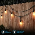 thumbnail image 4 of String Patio Lights, Homes and Gardens Lights, Outdoor Globe String Lights, Waterproof String Lights, 50FT 24 Sockets 36 Bulbs Included, 4 of 7