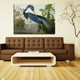 thumbnail image 3 of John James Audubon Painting Louisiana-Heron- By Audubon Canvas Art Birds Framed Wall Art, 3 of 7