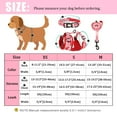 thumbnail image 2 of Didog 3pcs/set Cute Pet Dog Collar & Leash & Harness Soft Mesh Walking Vest Adjustable, 2 of 3