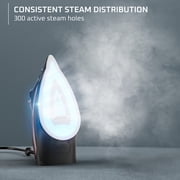 Rowenta Performance+ Steam Iron, Powerful Steam and Fast Heat-Up