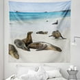 thumbnail image 1 of Ecuador Tapestry, Galapagos Island Sea Lions at Sandy Beach Seascape Nature Photo Animal Travel, Fabric Wall Hanging Decor for Bedroom Living Room Dorm, 5 Sizes, Multicolor, by Ambesonne, 1 of 1