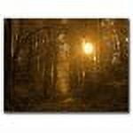 Trademark Art "Morning Awaits II" Canvas Art by CATeyes