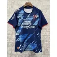 thumbnail image 2 of Camiseta de rugby visitante del Ulster 2023 Camiseta de entrenamiento de rugby visitante del Ulster 2022/23, pantalones cortos, talla S-5XL, 2 of 5