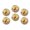 M078, variant on Glass Refrigerator Magnet 6Pcs Magnetic Fridge Sticker,Decor for Kitchen,Whiteboard,Cabinet,Oil Painting Of Angry Wolf With Beautiful Eyes
