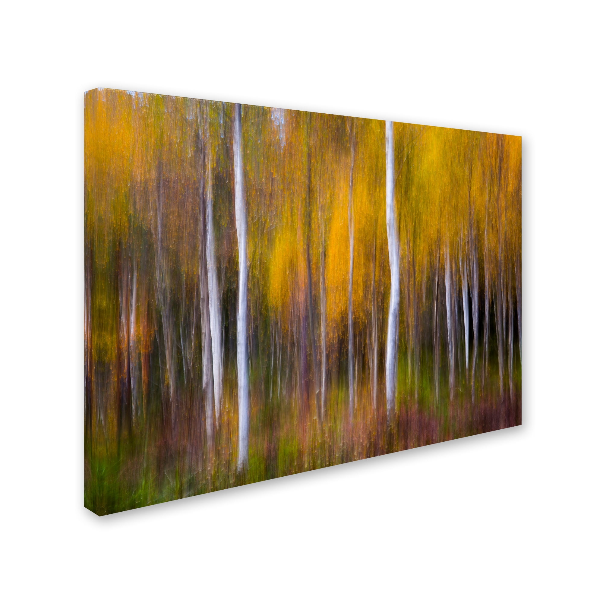 Trademark Fine Art 'Abstract Fall' Canvas Art by Andreas Christensen