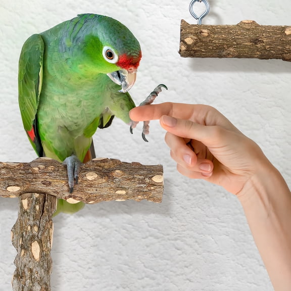 Topbathy 4Pcs Beige Wood Bird Perch Stand Easy Install Parrot Playstand for Large Birds