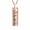 Rose Gold, variant on Cremation Jewelry Urn Necklace for Ashes, Pet Paw Print Memorial Pendant for Dog Cat Ashes Keepsake Locket for Men for Women(Black)