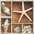 thumbnail image 2 of Broome, Ted 12x12 White Modern Wood Framed Museum Art Print Titled - From the Ocean II, 2 of 4
