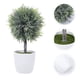 thumbnail image 4 of Planta esférica falsa para decoración de ventanas de interior, plantas artificiales de plástico en maceta para escritorio., 4 of 5