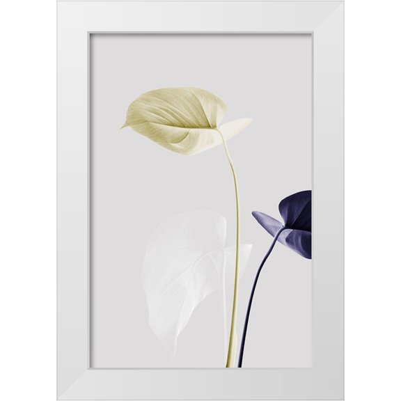 Artographie Studio 11x14 White Modern Wood Framed Museum Art Print Titled - Monstera Creative 23