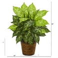 thumbnail image 2 of Nearly Natural 8871 19 Pouces Diffenbachia Plante Artificielle dans le Panier, 2 of 2
