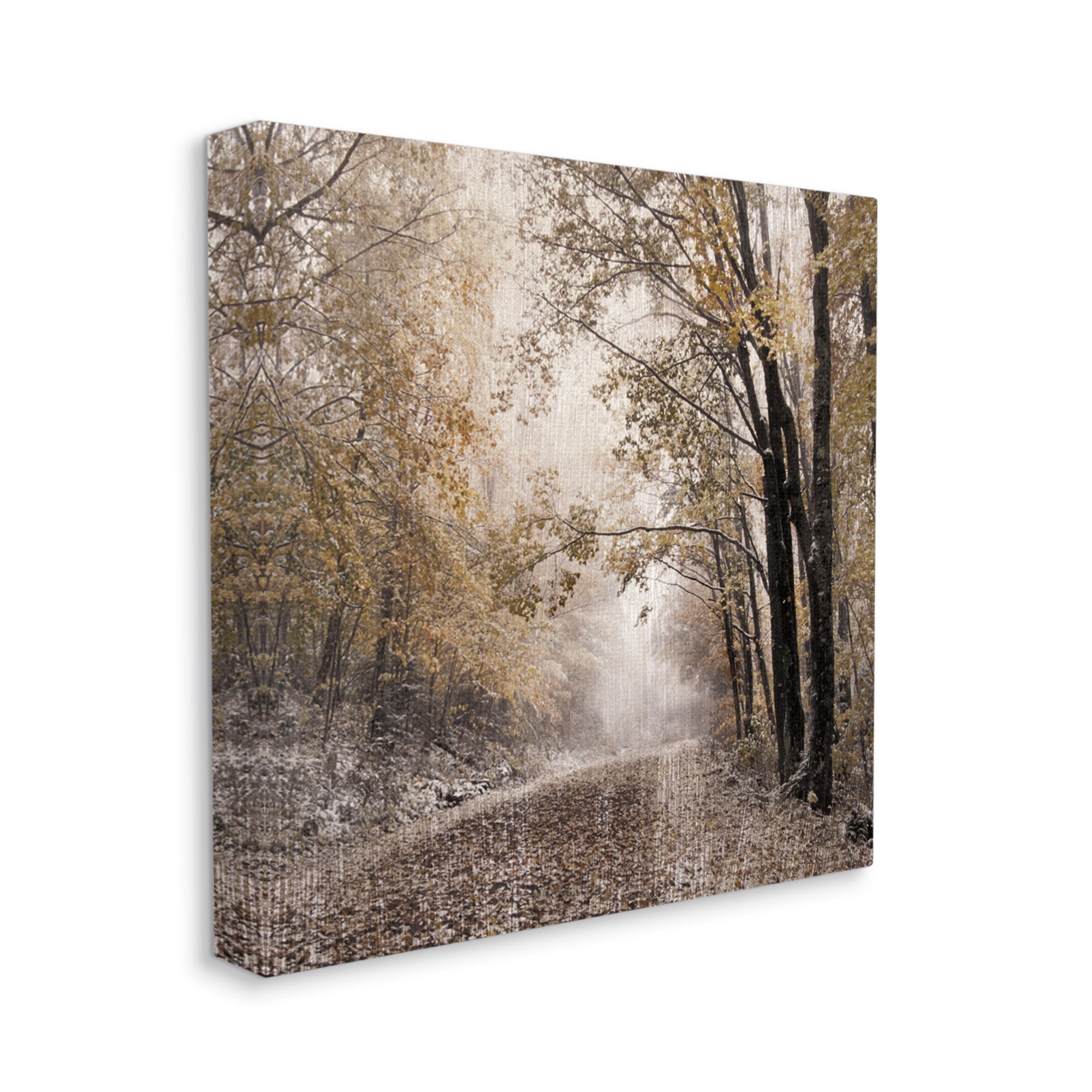 Stupell Sunlit Woodland Nature Trail Landscape Photography Gallery Wrapped Canvas Print Wall Art