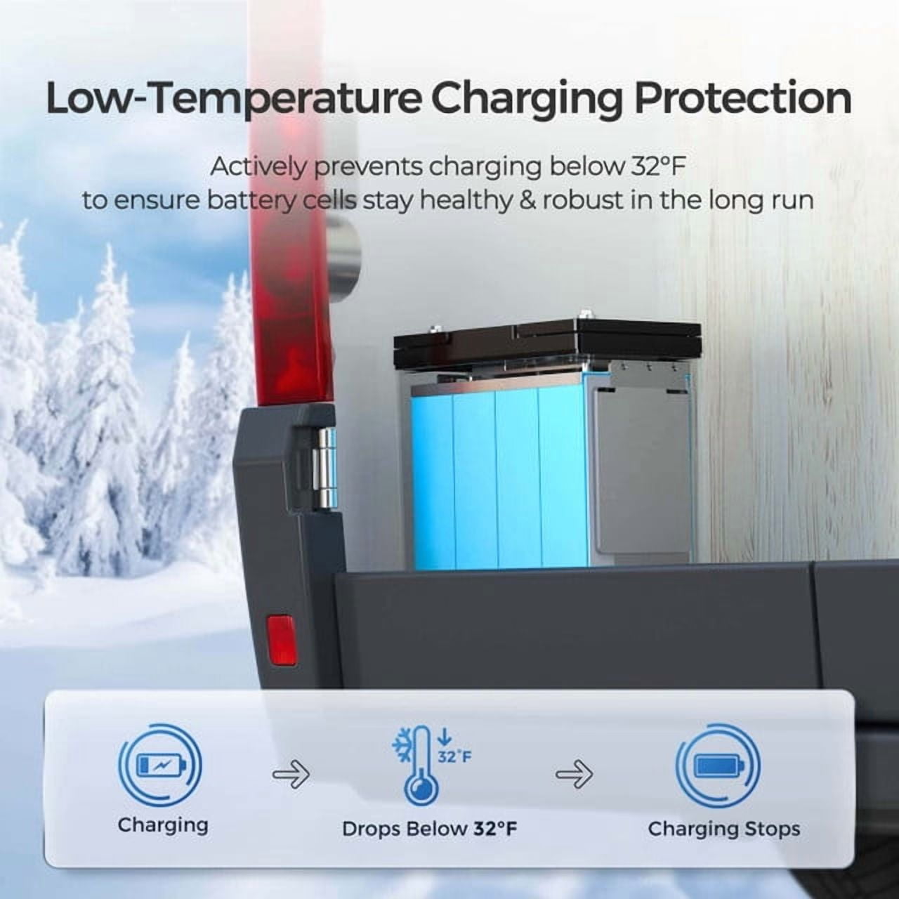 Renogy Core Mini - 12.8V 100Ah Lithium Iron Phosphate Battery, 100A BMS for Ultimate Safety, Deep Cycle w/Remote Monitoring Compatibility
