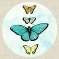 thumbnail image 3 of McCavitt, Naomi 12x12 Black Modern Framed Museum Art Print Titled - Butterfly Daydream I, 3 of 5
