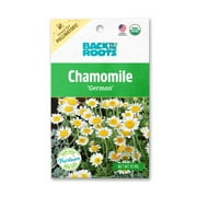 Back to the Roots Organic German Chamomile Flower Seeds, 1 Packet