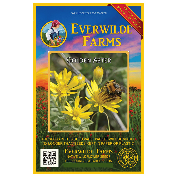 Everwilde Farms 2000 Golden Aster Native Wildflower Seeds Gold