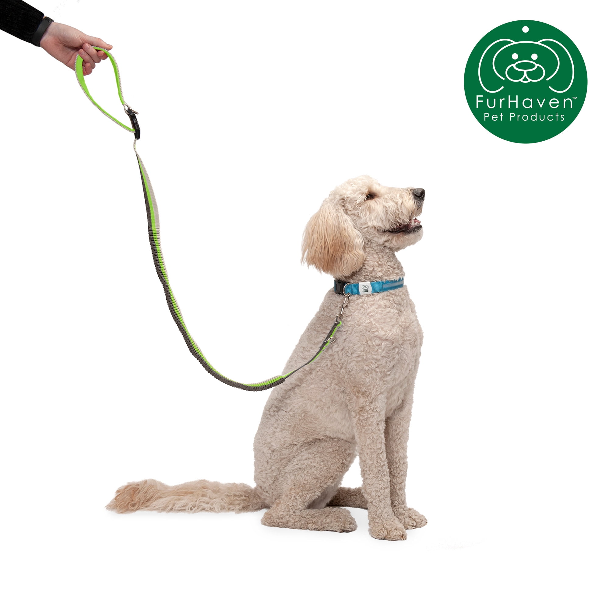 Are Bungee Leashes Good For Dogs