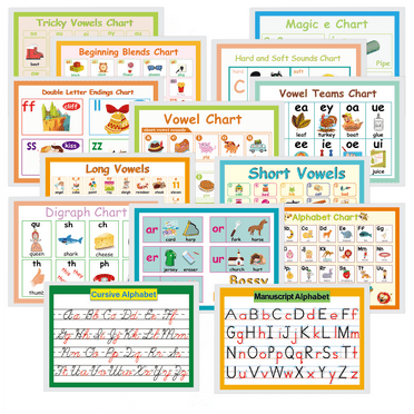14Pcs A4 Language Arts English Poster |Alphabet Vowels Phonics Posters for Classroom Décor