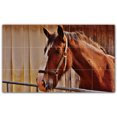 thumbnail image 1 of Picture-Tiles.com: Horse Ceramic Tile Wall Mural WAL500767-53L. 40"W x 24"H using (15) 8" x 8" Ceramic Tiles-Satin Finish, 1 of 3