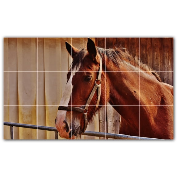 Picture-Tiles.com: Horse Ceramic Tile Wall Mural WAL500767-53L. 40"W x 24"H using (15) 8" x 8" Ceramic Tiles-Satin Finish