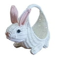 thumbnail image 3 of Elodie Fruit Basket Table Centerpiece Serving Tray for Countertop Kitchen Cosmetics, 3 of 8
