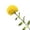 A, variant on Artificial Caryophyllus Flower, Hair Ball with Fringed Layered Petals, for Wedding Decor, Home Living Room, Table Centerpiece, Shelf
