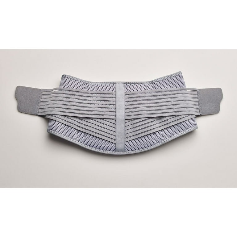 Actimove Back Support 腰痛ベルト グレー L/XL Everyday Back Support | Actimove