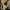 08-brown11, variant on NANAHuang Winter Padded and Thickened Double-Sided Fleece Stand-Up Collar Sweater Jacket for Women
