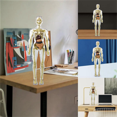 thumbnail image 2 of 3D Human Body Torso Model Anatomy Model Skeleton,Human Body Model,Removable Parts, DIY Skeleton Toy, 2 of 4