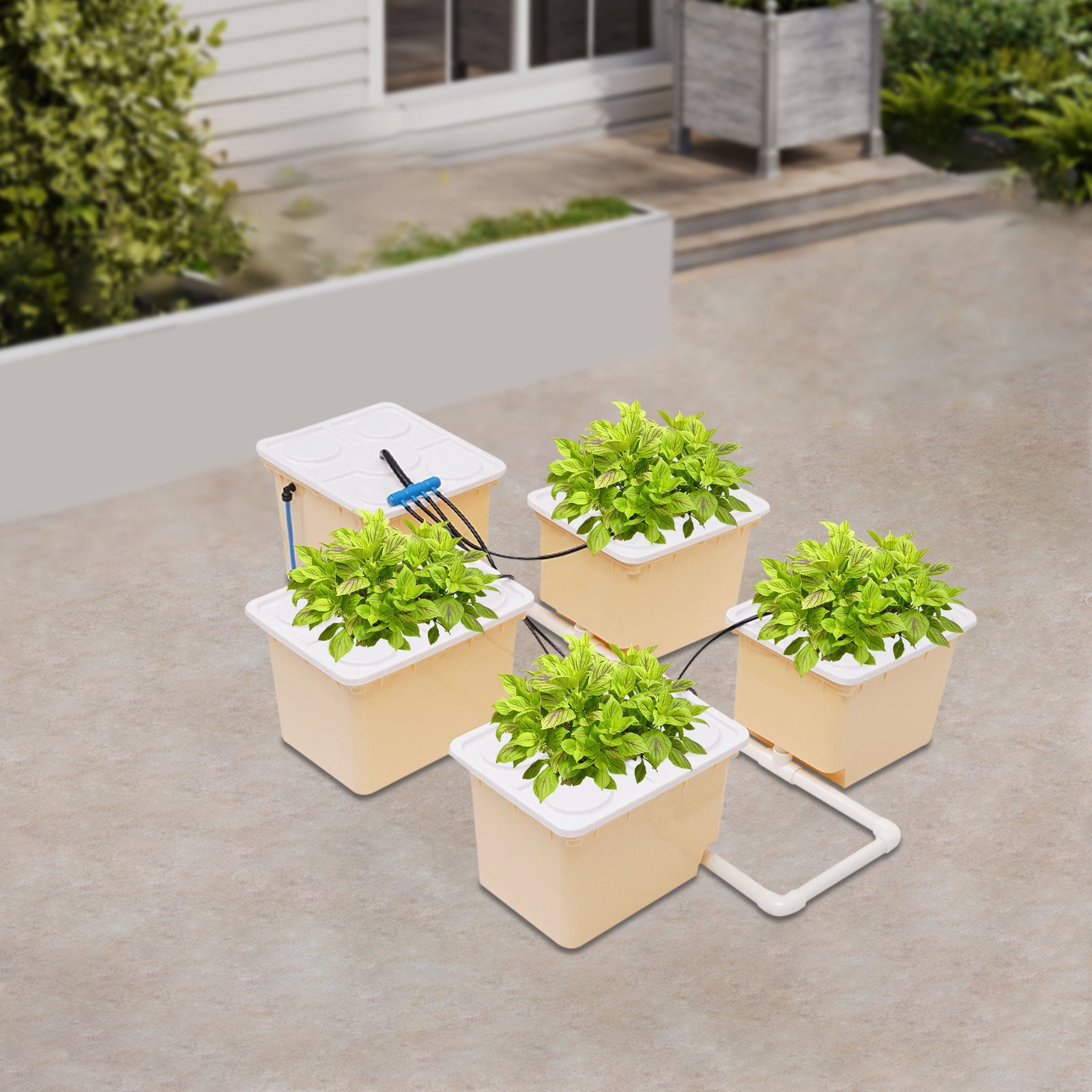 5 Bucket DWC Hydroponic Growing System, PP&UV Material Indoor Outdoor Drip Irrigation Kit with 11L Capacity Per Bucket, Complete Accessories Included for Vegetables Herbs Flowers